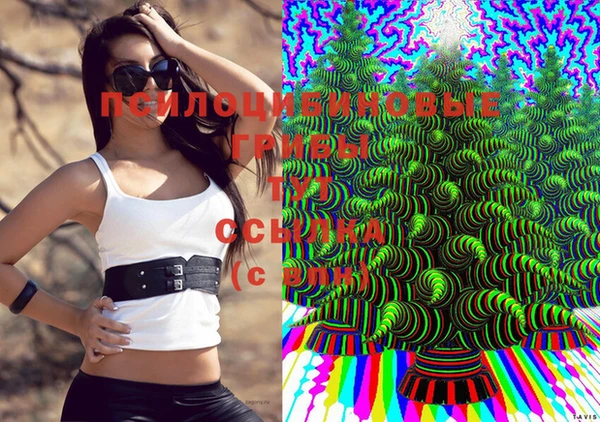 марки lsd Покачи