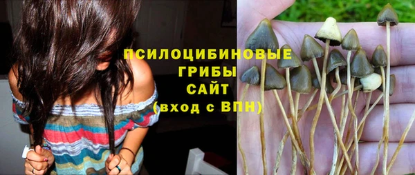 кокс Валдай