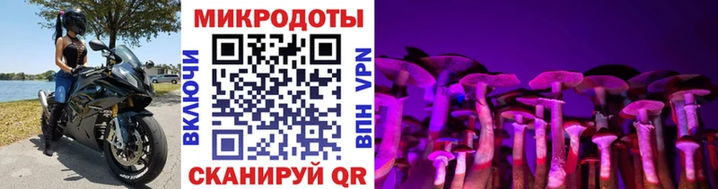 Галлюциногенные грибы Psilocybine cubensis  купить наркотик  Спасск 